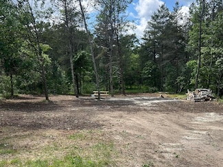 Lot # 21 W Roberta Dr, South Branch Township, MI 48653