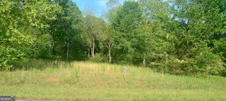0 Town Creek Rd Unit 10444220, Franklin, GA 30217