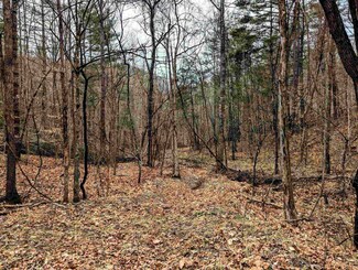 TBD Yates Rd, Shawsville, VA 24162