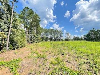 0 Tbd Barfield Rd Unit LotWP004 21520544, Nichols, SC 29581