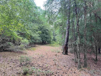 TBD Weathersby Rd, Salley, SC 29137