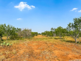 000 County Road 429, Pleasanton, TX 78064