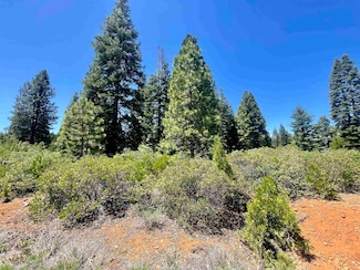 240 Walsh Ct, Lake Almanor, CA 96137
