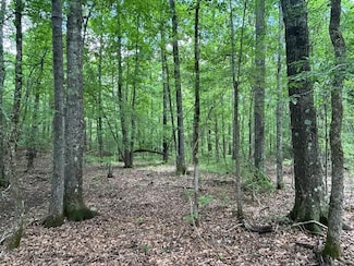 0 White Springs Church Rd, Dry Branch, GA 31020