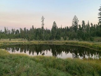 Nhn Cougar Ln, Philipsburg, MT 59858