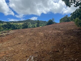 Bo. Saco, Rio Abajo Sr 975 K M 2 5 Lote #4, Ceiba, PR 00735
