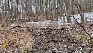 0 Orchard Hill Rd, Northmoreland Township, PA 18657