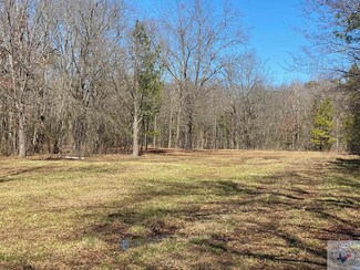 TBD Farm To Market Road 195, Clarksville, TX 75426