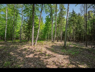 Lot 24 Bonita Point, Three Lakes, WI 54521