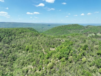 0 Highview Rd Unit 20311907, Purgitsville, WV 26852