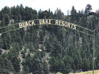 2 Stricks Rd, Angel Fire, NM 87710