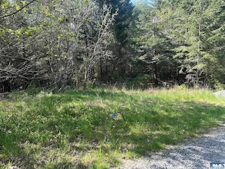 NKA Pristine Ln, Port Angeles, WA 98362