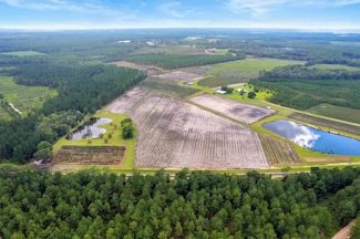 Lot 3 (51.47 Ac) Cody (Nichols Ga) Rd, Nicholls, GA 31554