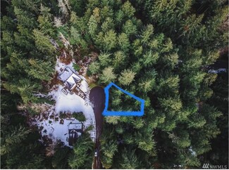 11415 Tillicum Dr, Anderson Island, WA 98303
