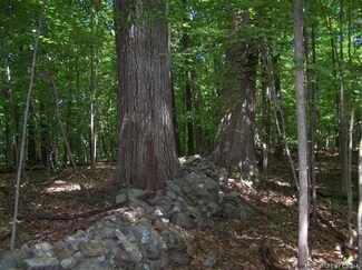 TBD Pokonoie Rd, Ulster Park, NY 12487