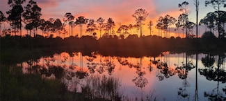 15355 93rd St, Fellsmere, FL 32948