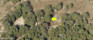 2314 Reagan St, Inverness, FL 34453