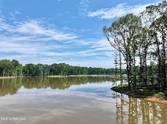 0 Springwood Trail Unit 22461148, Flora, MS 39071