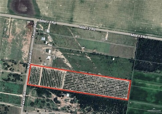 03 Texan Rd, Palmview, TX 78574