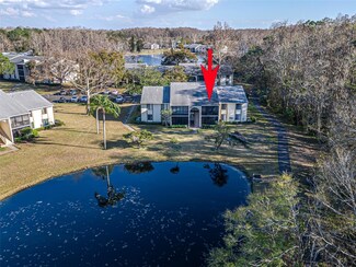 1424 Pine Glen Ln Unit B2, Tarpon Springs, FL 34688