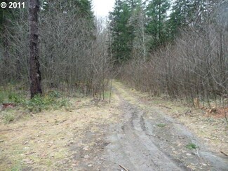 4 Swift Cove Unit Lot 4, Carson, WA 98610