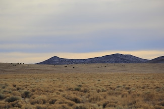 0 Estes Park Rd Unit 23489715, Blanca, CO 81123