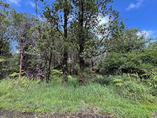 0 Wao Nani Road 6, Volcano, HI 96785