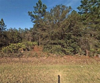 4824 Butternut Ave, Bunnell, FL 32110