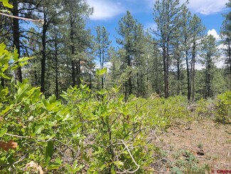 522 Dyke Blvd, Pagosa Springs, CO 81147