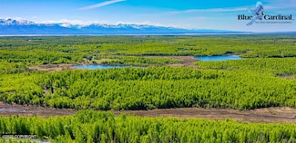 LC4 W Sunset Ave, Knik-Fairview, AK 99654