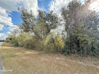 Lot 24 Nortek Blvd, Marianna, FL 32448