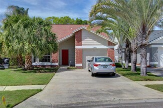 11649 Sunshine Pond Rd, Tampa, FL 33635