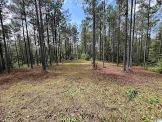 740 Sweet Apple Rd Unit 1, Cropwell, AL 35054