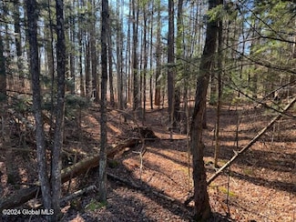 L5 New York 28n, North Creek, NY 12853