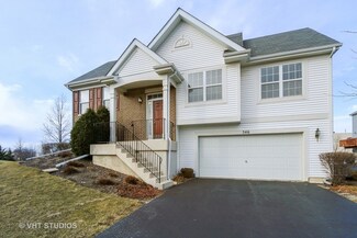 546 Richard Brown Blvd, Volo, IL 60073