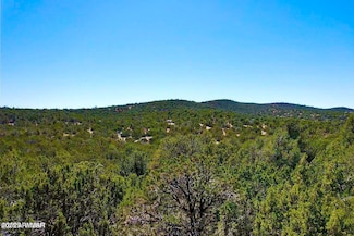 61 Acr 3189 -- Unit 199, Vernon, AZ 85940