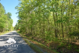 0 Dopson Rd, Islandton, SC 29929