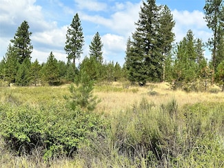 39 Bighorn Bluff Loop, Plains, MT 59859