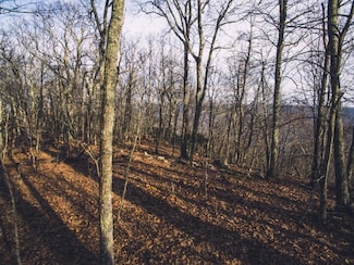 0 Wolfcreek Rd, Narrows, VA 24124