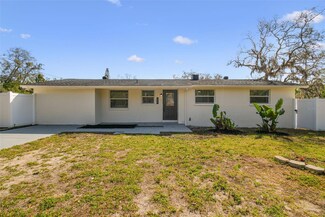 10201 N Ninevah Rd, Tampa, FL 33617