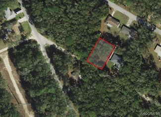 3397 E Alex Place, Inverness Highlands North, FL 34453