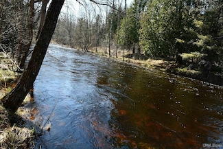 Lot #5 Northwoods Ln, Hardwood, MI 49834