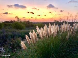 1 Cedar Reef Dr Unit F204, Saint Helena Island, SC 29920