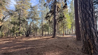 19045 Pine Dr, Pioneer, CA 95666