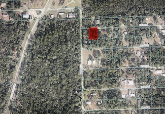 TBD NE 202nd Place, Fort Mc Coy, FL 32134