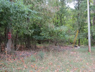 0 Baywood Dr, Piney Flats, TN 37686