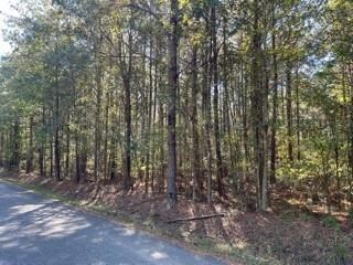 Lot 7 Big Lake Rd, Pineville, LA 71360