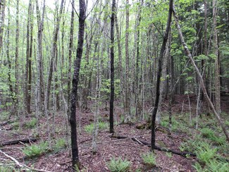 4 & 5 Forest Ln, Lyndon, VT 05851