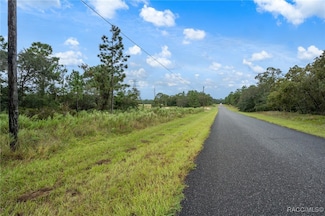6955 N Fountainhead Dr, Citrus Springs, FL 34433