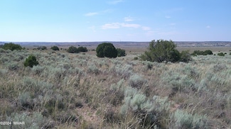 0 Sanders Unit 251999, Sanders, AZ 86512